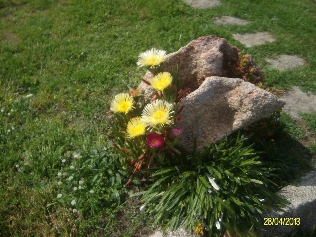Bed and Breakfast Agriturismo Spridda Arzachena Zewnętrze zdjęcie